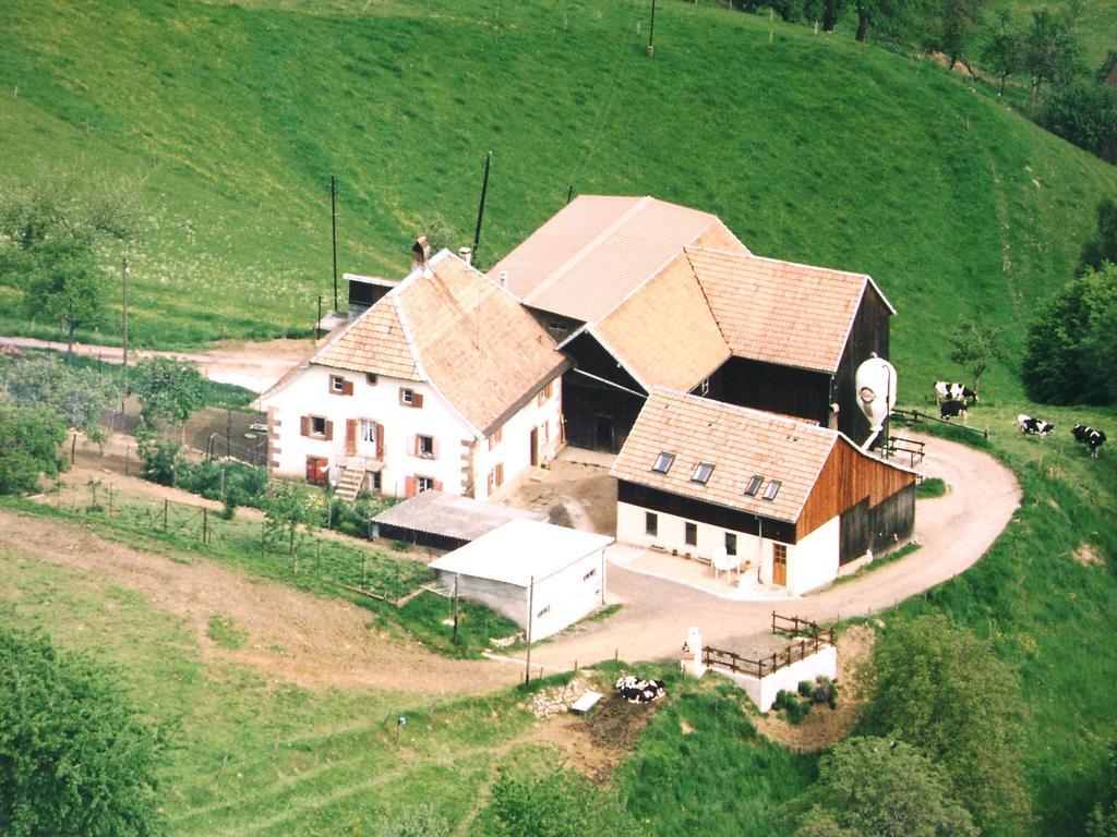 Gite A L'Oree Des Biches Sainte-Marie-aux-Mines Værelse billede